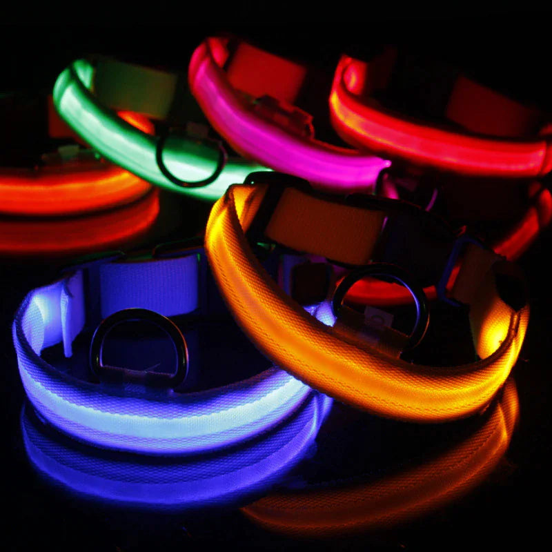 Collar Ajustable para Perro LED con Luz Intermitente y Resplandeciente para la Seguridad de Mascotas a Prueba de Agua