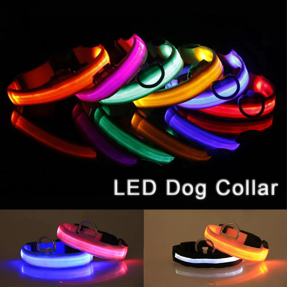 Collar Ajustable para Perro LED con Luz Intermitente y Resplandeciente para la Seguridad de Mascotas a Prueba de Agua