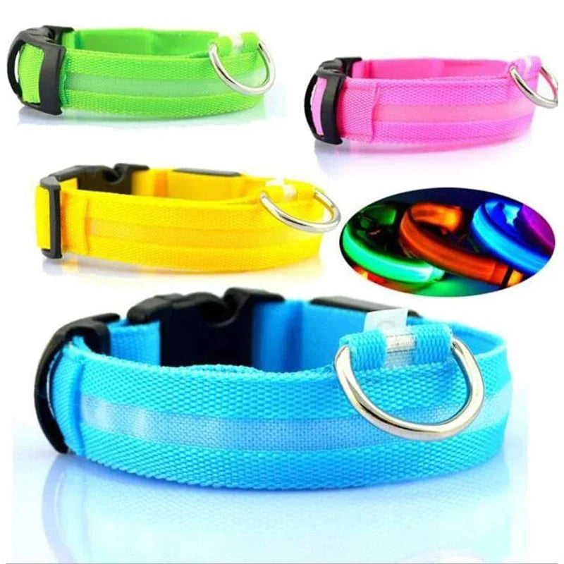 Collar Ajustable para Perro LED con Luz Intermitente y Resplandeciente para la Seguridad de Mascotas a Prueba de Agua