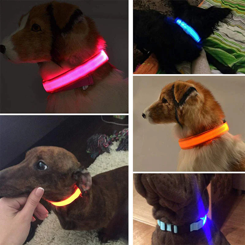 Collar Ajustable para Perro LED con Luz Intermitente y Resplandeciente para la Seguridad de Mascotas a Prueba de Agua