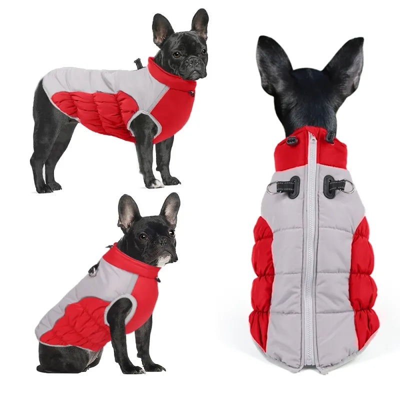 Ropa de Invierno a Prueba de Viento para Mascotas