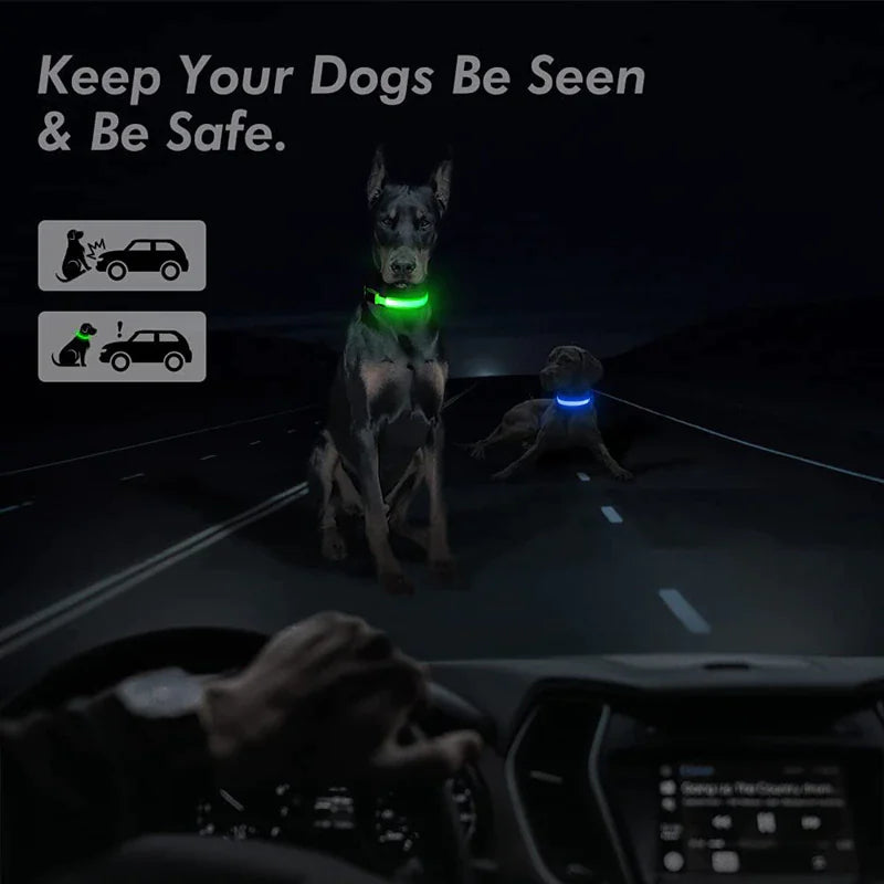 Collar Ajustable para Perro LED con Luz Intermitente y Resplandeciente para la Seguridad de Mascotas a Prueba de Agua