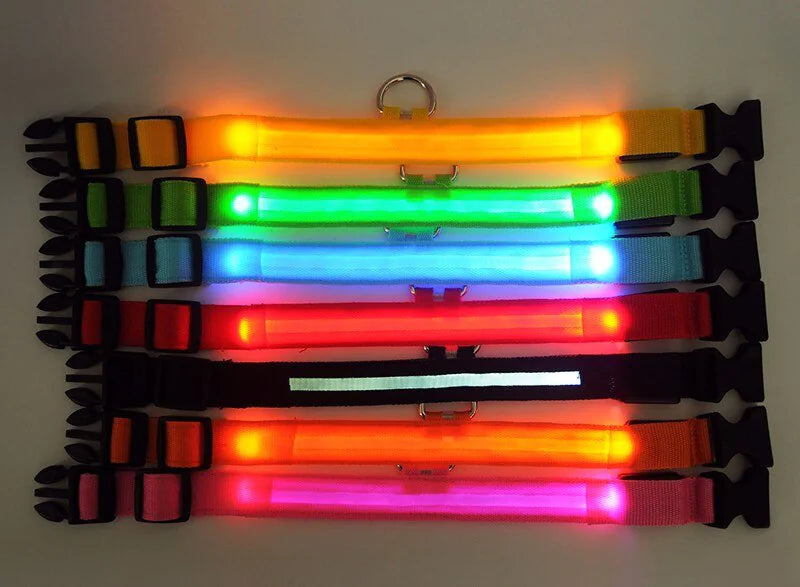 Collar Ajustable para Perro LED con Luz Intermitente y Resplandeciente para la Seguridad de Mascotas a Prueba de Agua