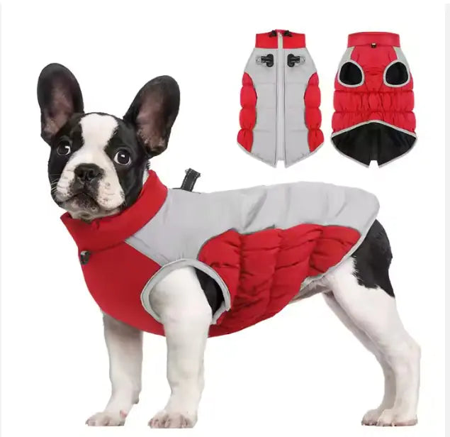 Ropa de Invierno a Prueba de Viento para Mascotas