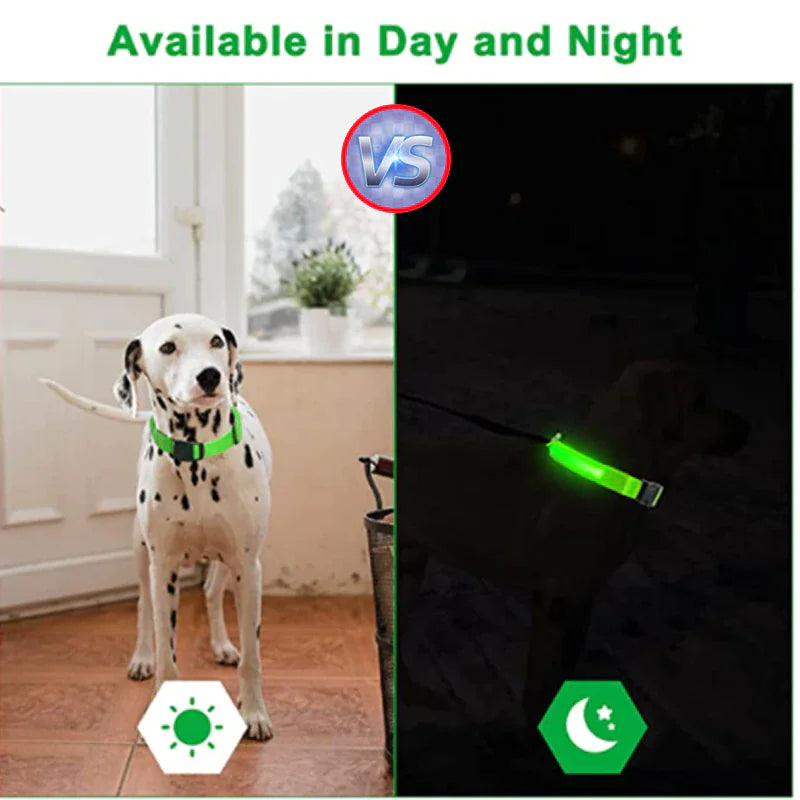 Collar Ajustable para Perro LED con Luz Intermitente y Resplandeciente para la Seguridad de Mascotas a Prueba de Agua