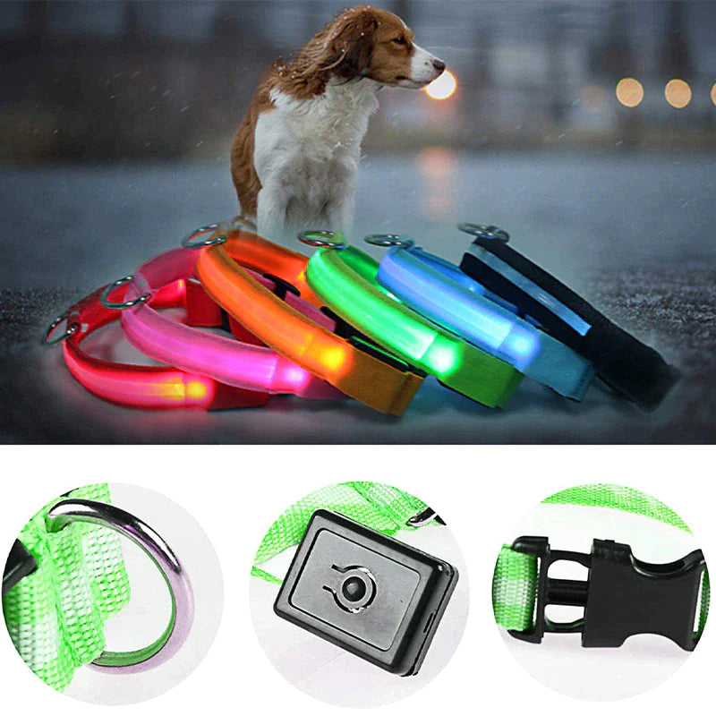 Collar Ajustable para Perro LED con Luz Intermitente y Resplandeciente para la Seguridad de Mascotas a Prueba de Agua