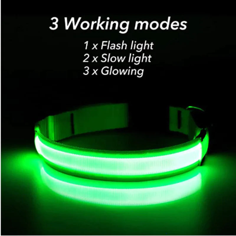 Collar Ajustable para Perro LED con Luz Intermitente y Resplandeciente para la Seguridad de Mascotas a Prueba de Agua