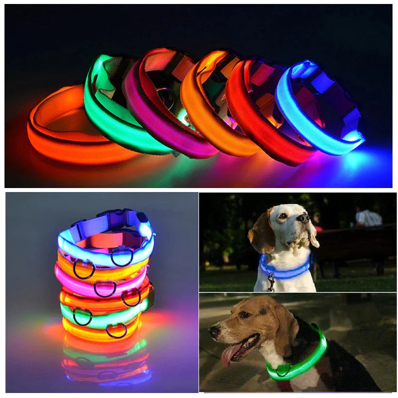 Collar Ajustable para Perro LED con Luz Intermitente y Resplandeciente para la Seguridad de Mascotas a Prueba de Agua