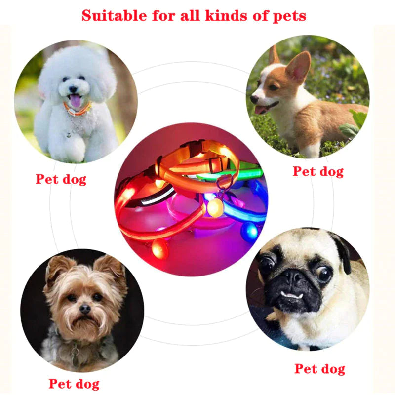 Collar Ajustable para Perro LED con Luz Intermitente y Resplandeciente para la Seguridad de Mascotas a Prueba de Agua