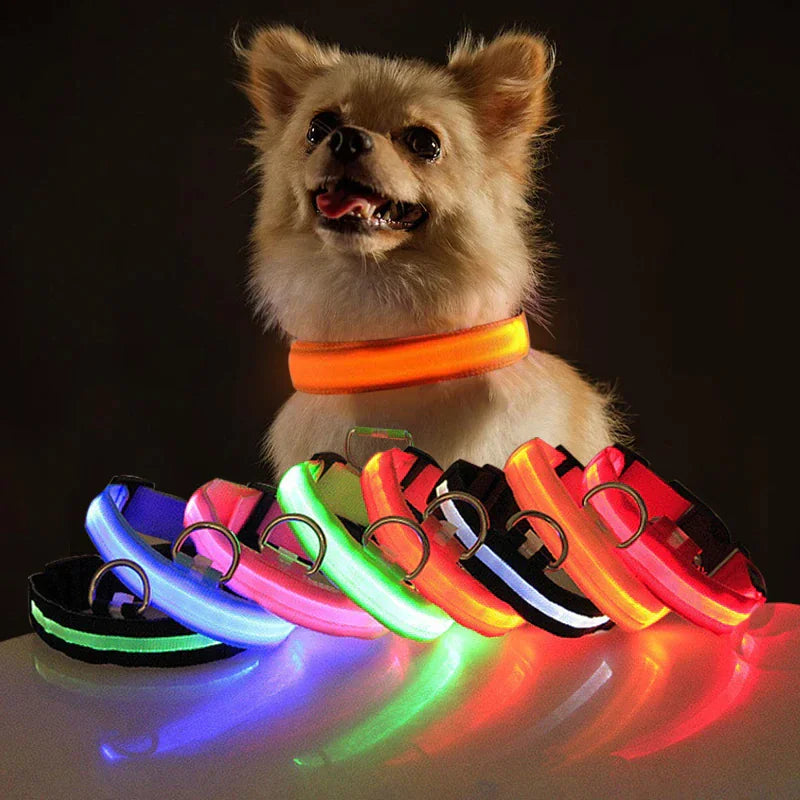 Collar Ajustable para Perro LED con Luz Intermitente y Resplandeciente para la Seguridad de Mascotas a Prueba de Agua